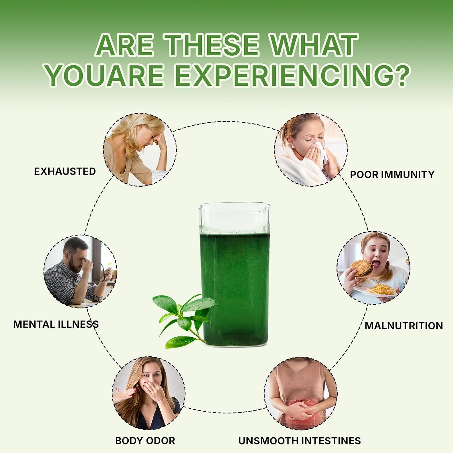 Chlorophyll Powder - Image 3